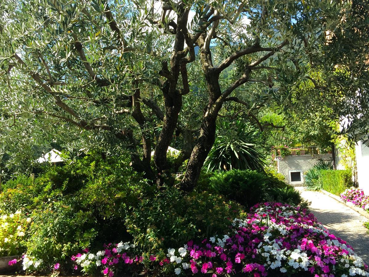 Iris 1 Lago Di Como دونغو المظهر الخارجي الصورة